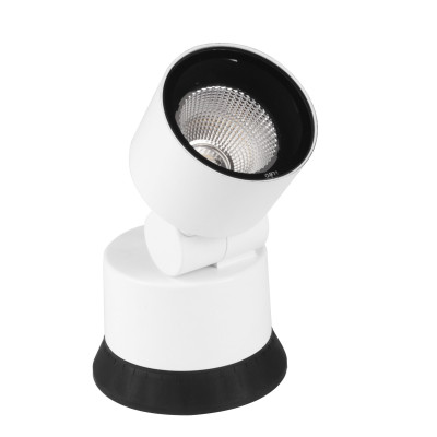 i-LèD Maestro - Gardener - Gardener 180-300V arrayLED 18 W 500 mA - Outdoor adjustable projector